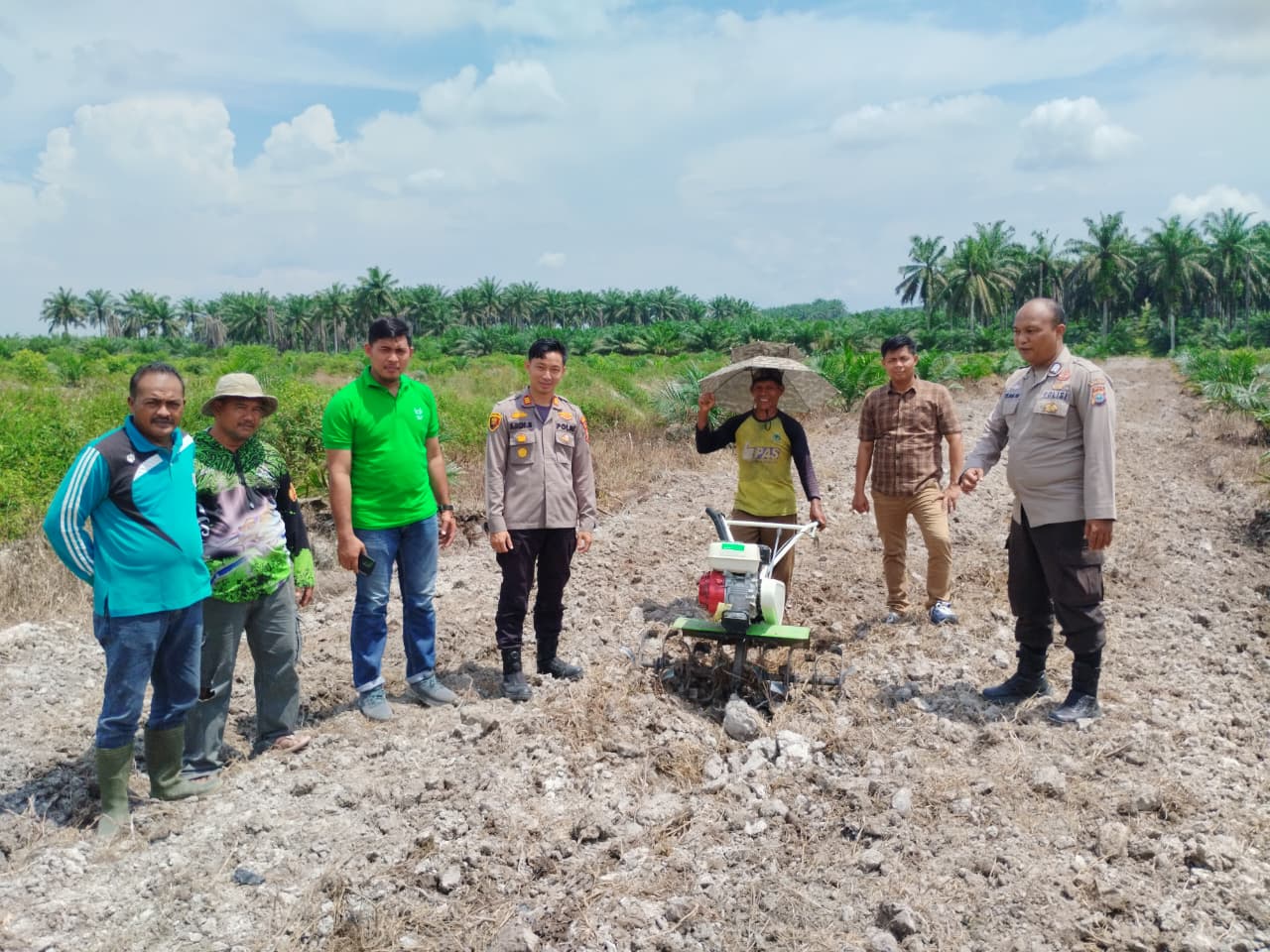 Penanaman jagung di Pelalawan